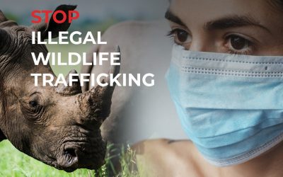 HERMES: Fighting illicit wildlife trade and future pandemics